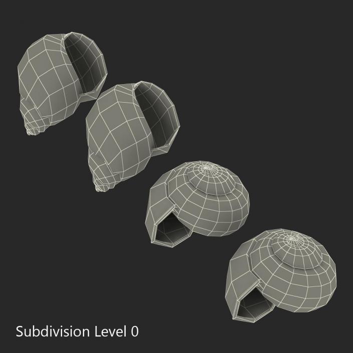 3D Snail Shells Collection model