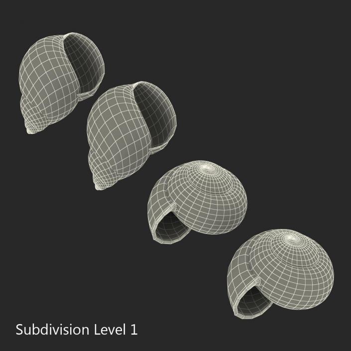 3D Snail Shells Collection model