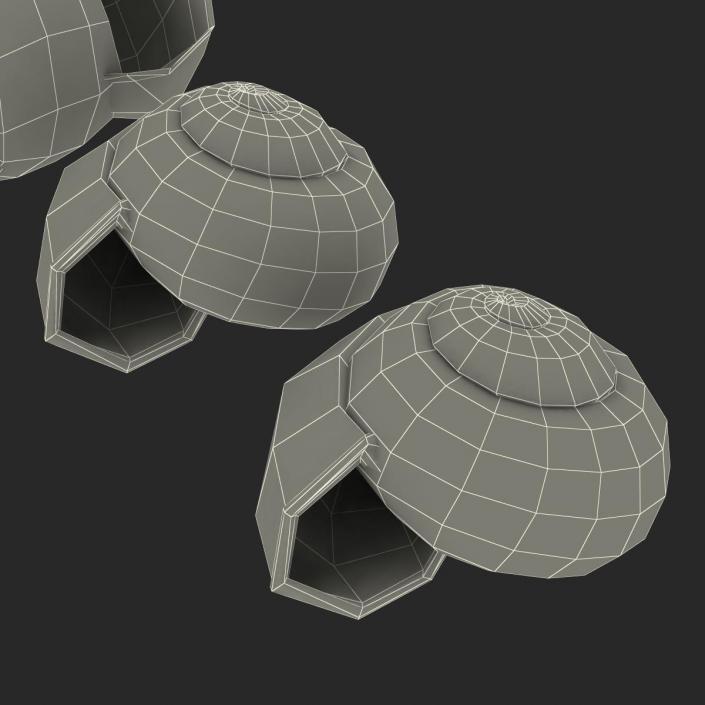 3D Snail Shells Collection model