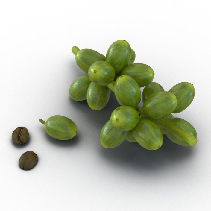 3D Green Coffee Collection model