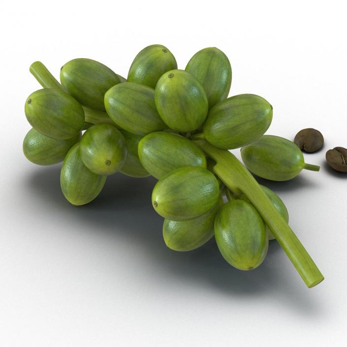 3D Green Coffee Collection model