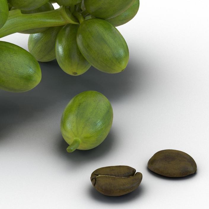 3D Green Coffee Collection model