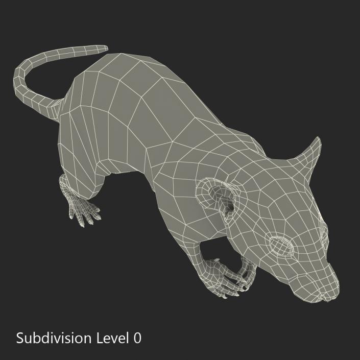 Rat 3 Pose 4 3D