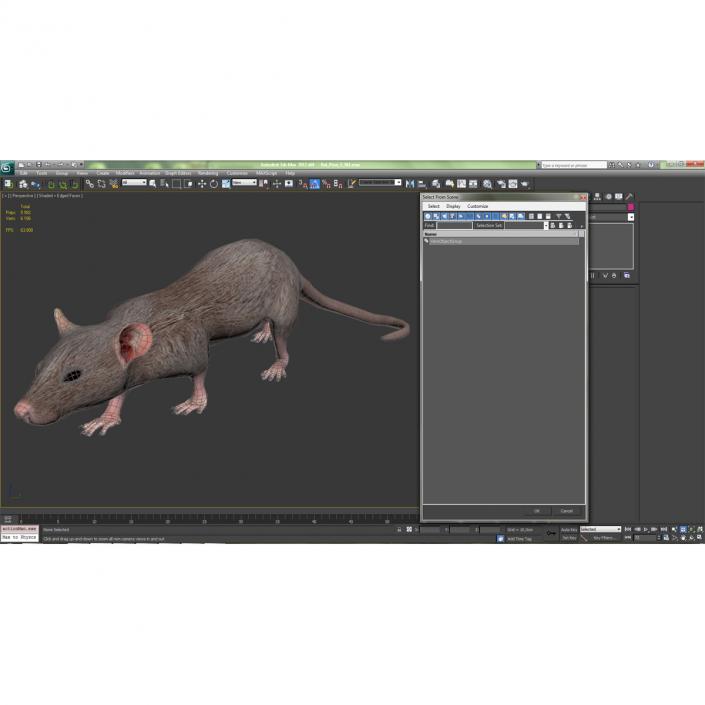 Rat 3 Pose 3 3D