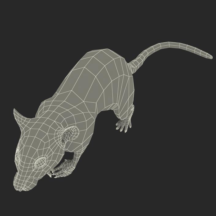 Rat 3 Pose 4 3D