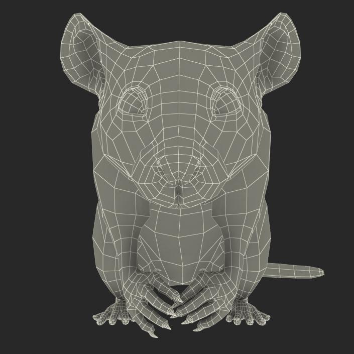 3D White Rat Pose 4