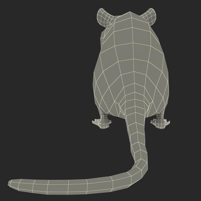 3D White Rat Pose 4