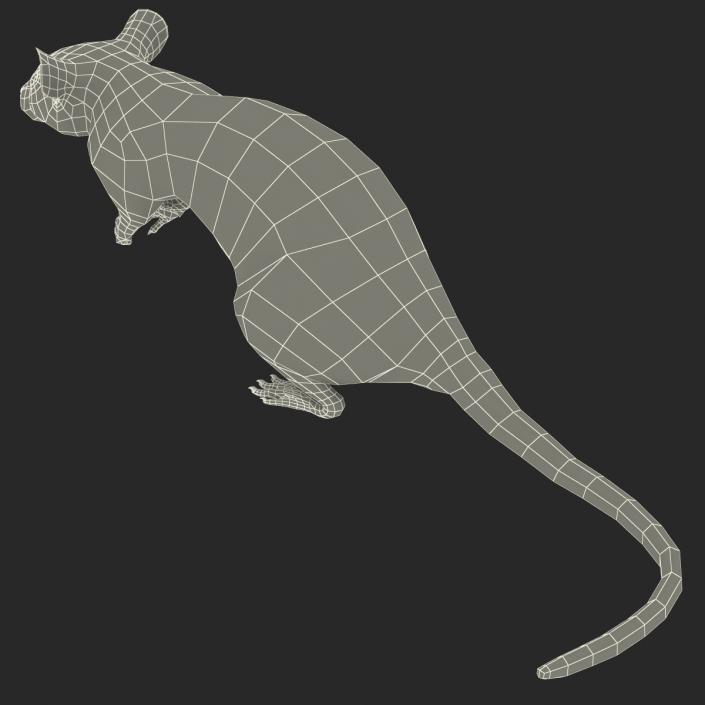 3D White Rat Pose 4