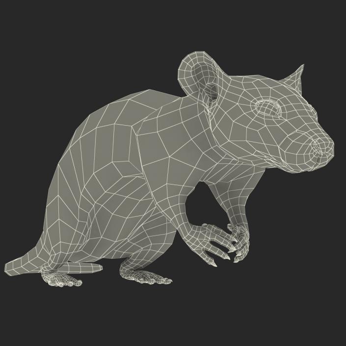 3D White Rat Pose 4