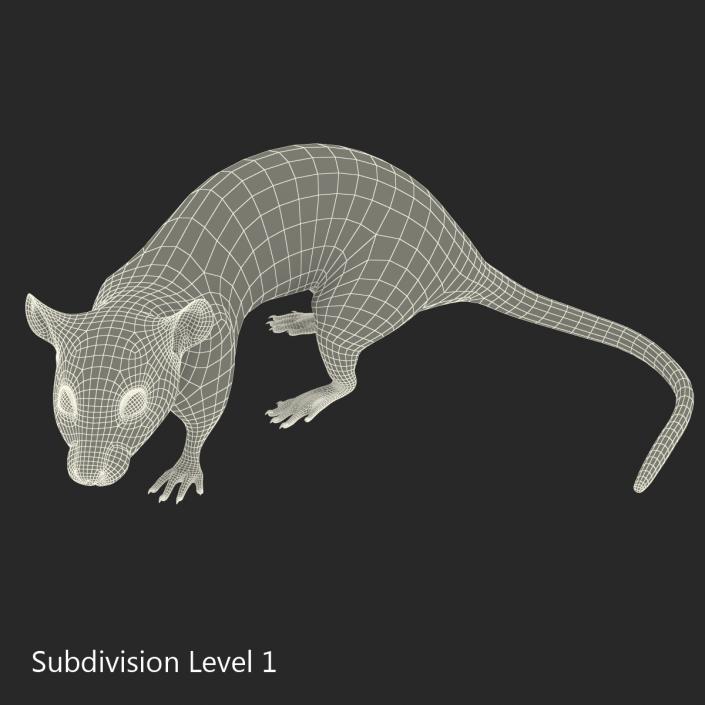 3D White Rat Pose 5