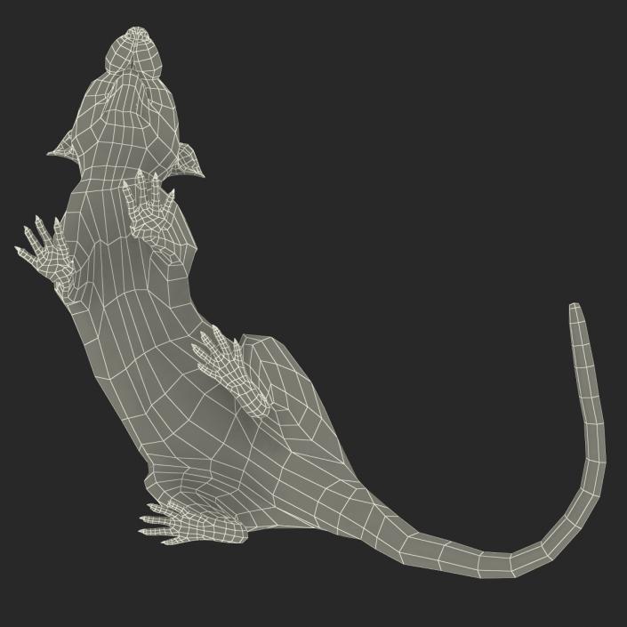 3D White Rat Pose 5