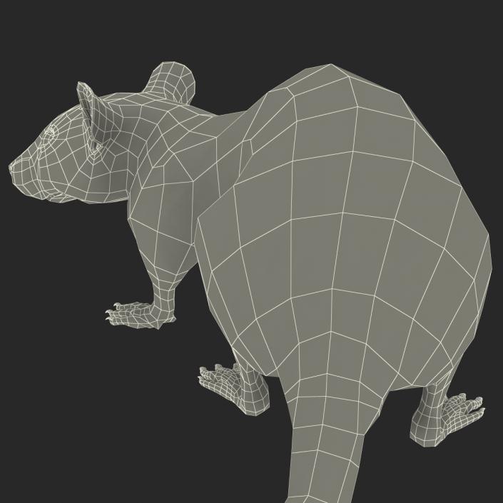 3D White Rat Pose 5