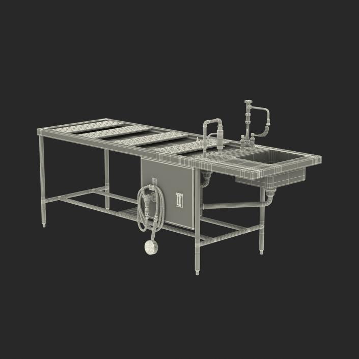 3D Autopsy Table model