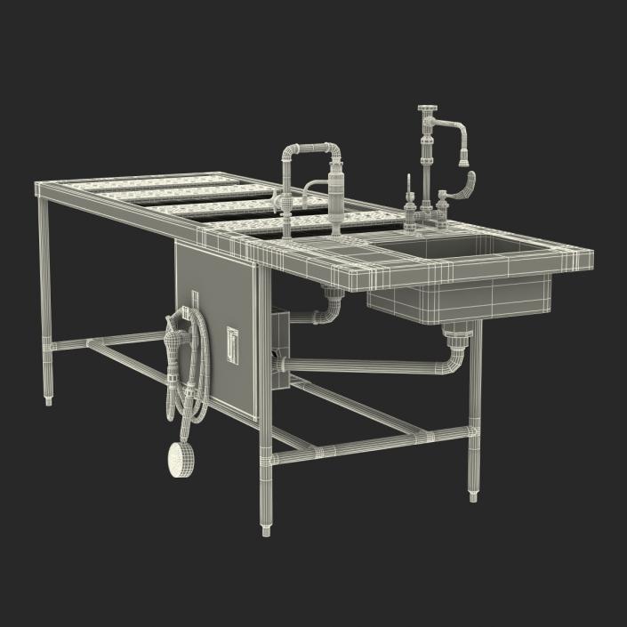 3D Autopsy Table model