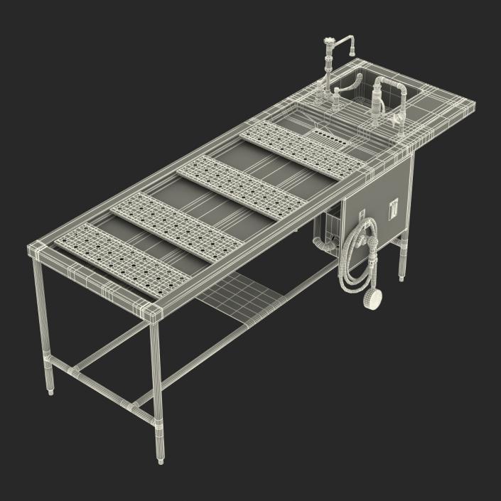 3D Autopsy Table model