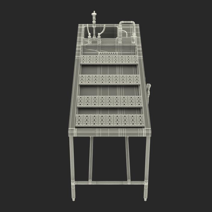 3D Autopsy Table model