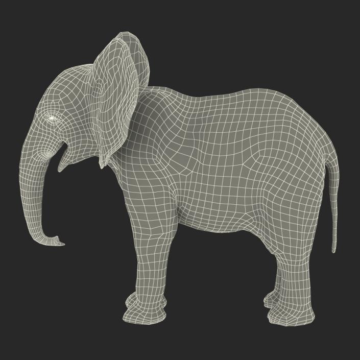 3D Baby Elephant model