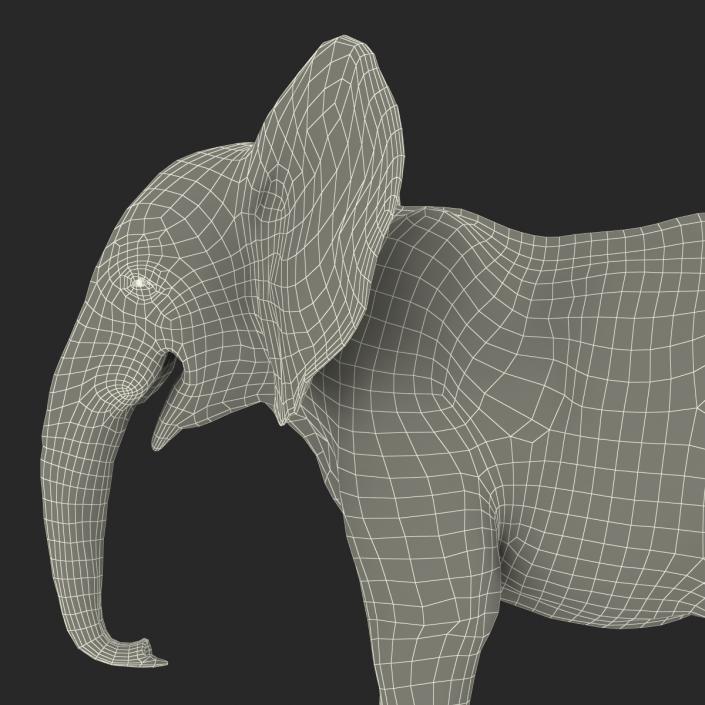 3D Baby Elephant model