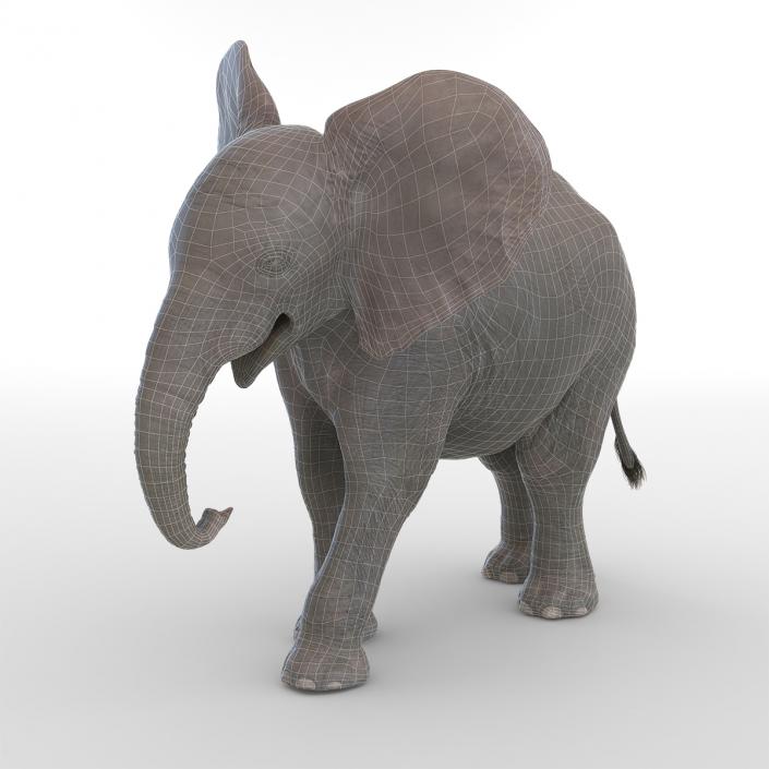 3D model Baby Elephant Pose 2