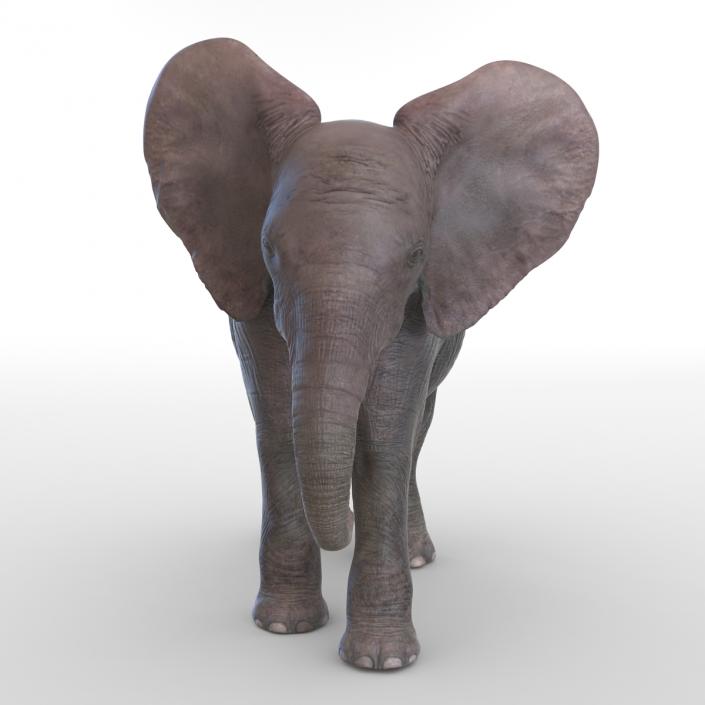 3D model Baby Elephant Pose 2