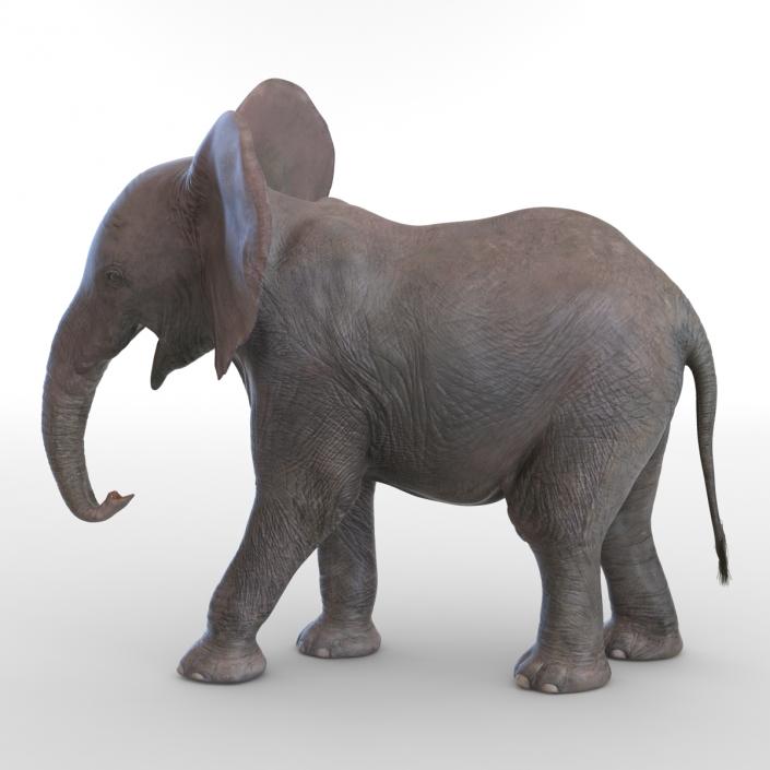 3D model Baby Elephant Pose 2