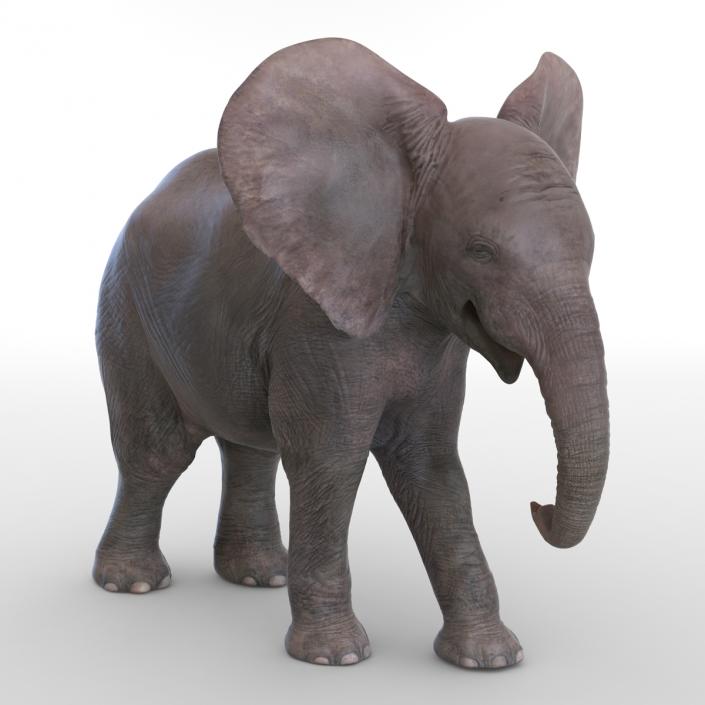 3D model Baby Elephant Pose 2