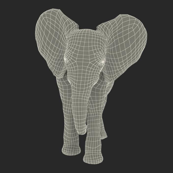 3D model Baby Elephant Pose 2