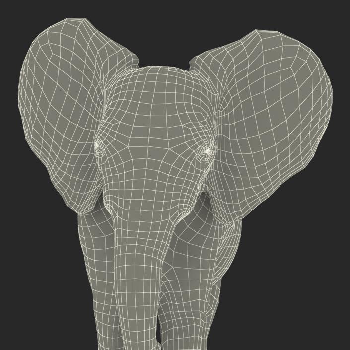 3D model Baby Elephant Pose 2