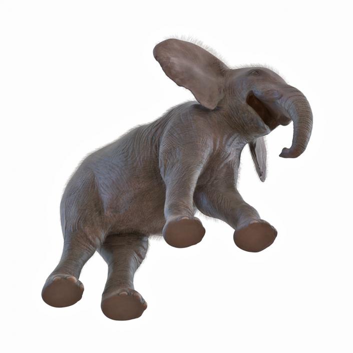 Baby Elephant Pose 2 with Fur 3D model