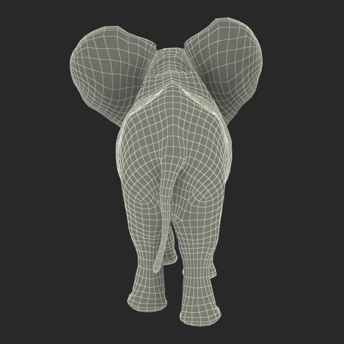 Baby Elephant Pose 2 with Fur 3D model