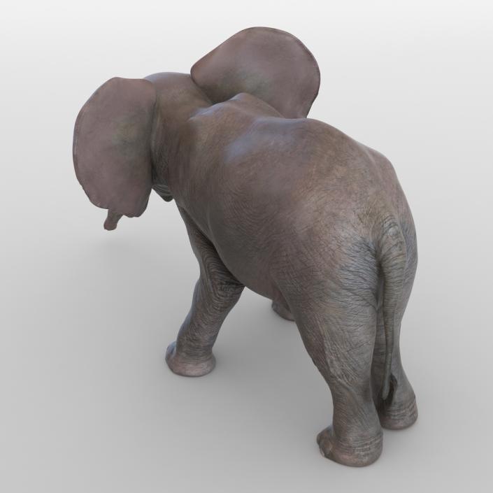 3D model Baby Elephant Pose 3