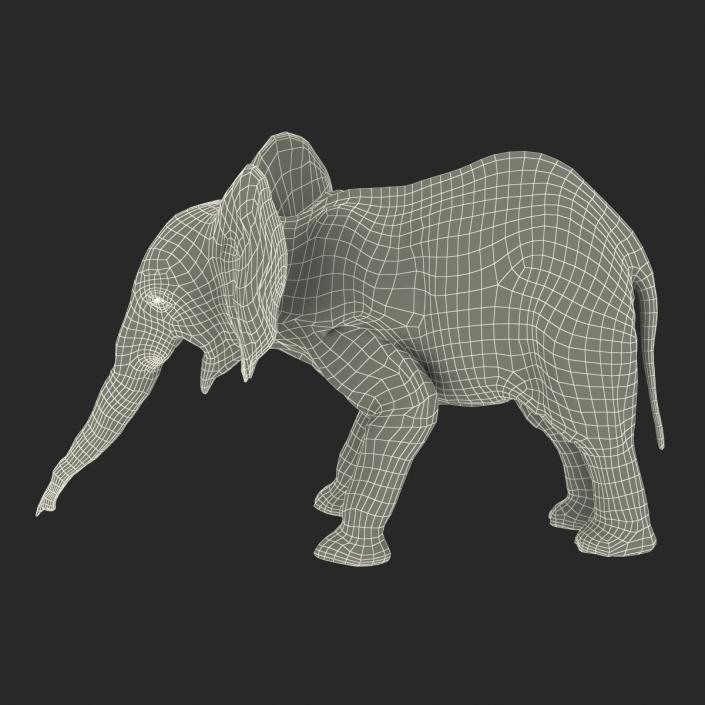 3D model Baby Elephant Pose 3