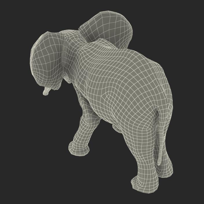 3D model Baby Elephant Pose 3