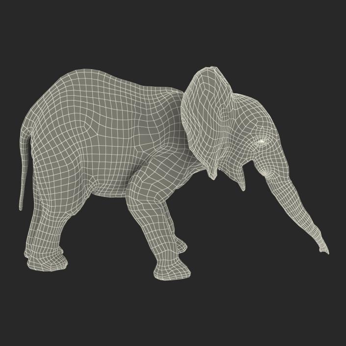 Baby Elephant Pose 3 with Fur 3D model