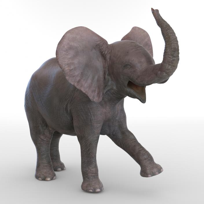 3D model Baby Elephant Rigged