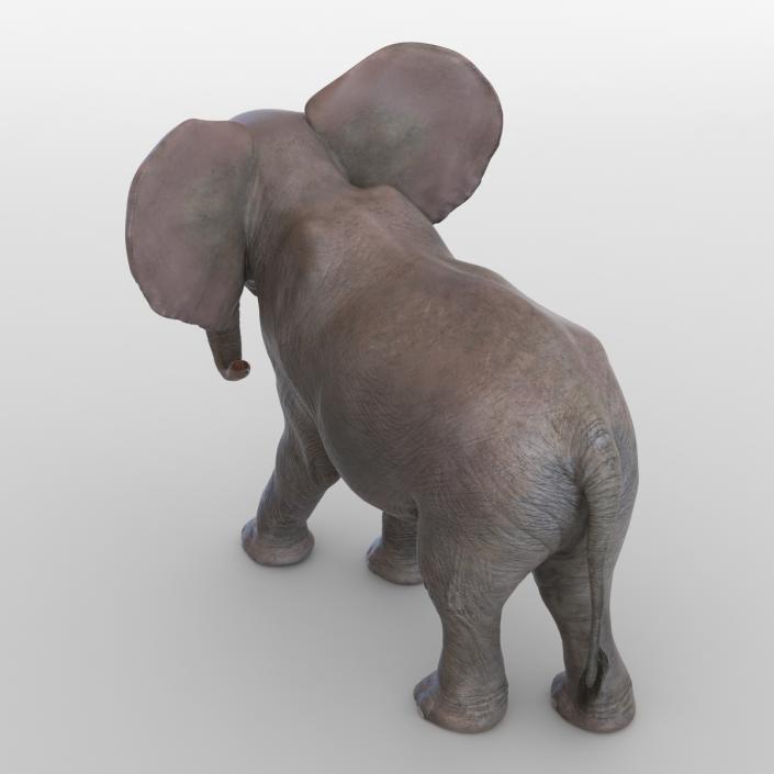 3D model Baby Elephant Rigged