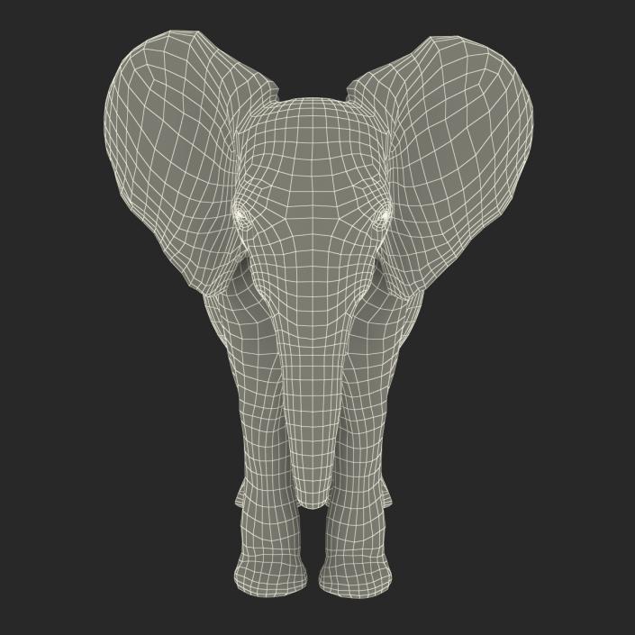 3D model Baby Elephant Rigged