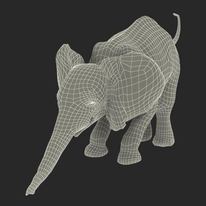 3D model Baby Elephant Rigged