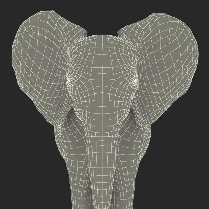 3D model Baby Elephant Rigged