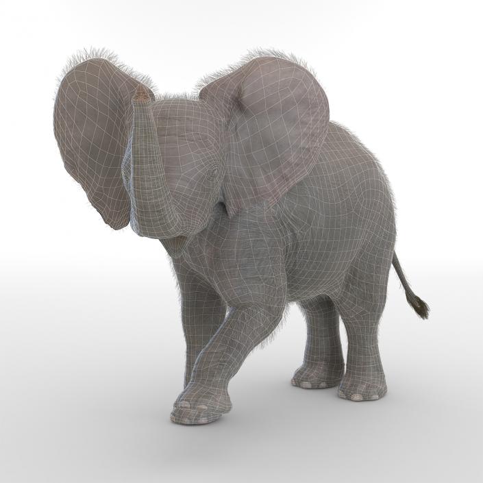 Baby Elephant Rigged with Fur 3D model