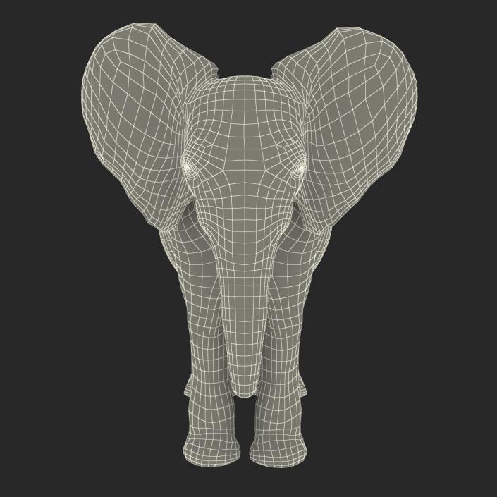 Baby Elephant Rigged with Fur 3D model