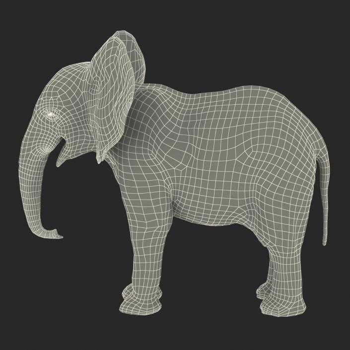 Baby Elephant Rigged with Fur 3D model