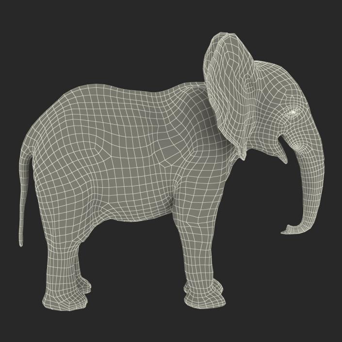 Baby Elephant Rigged with Fur 3D model