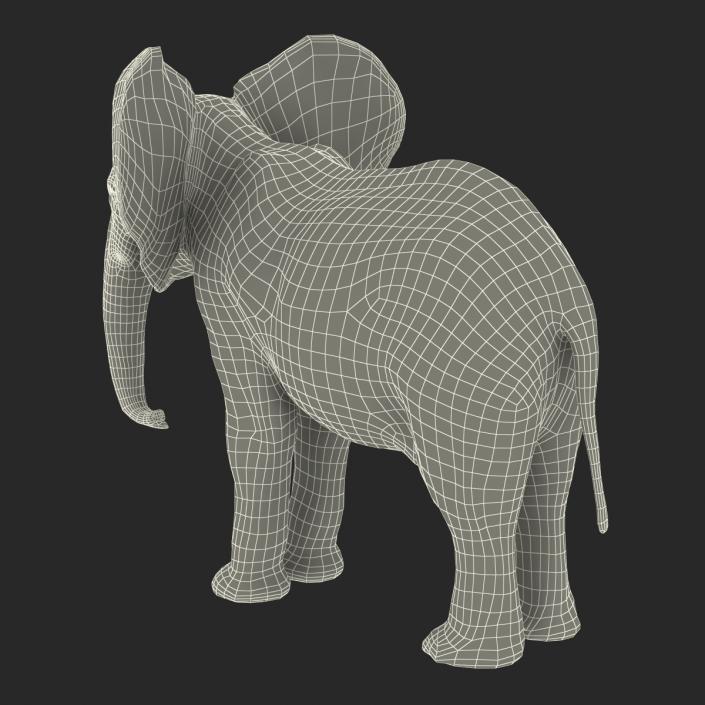 Baby Elephant Rigged with Fur 3D model