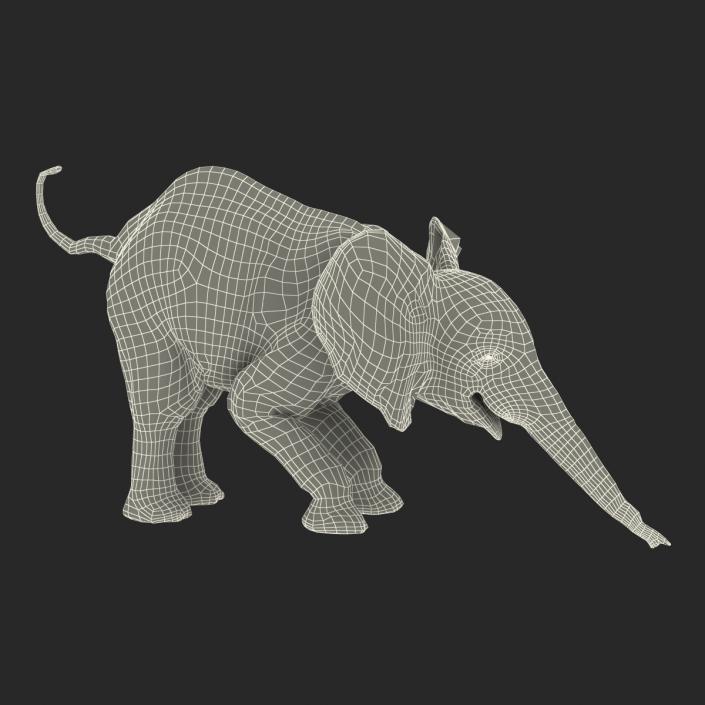 Baby Elephant Rigged with Fur 3D model