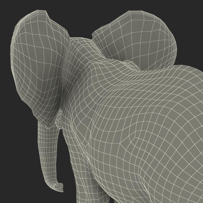 Baby Elephant Rigged with Fur 3D model