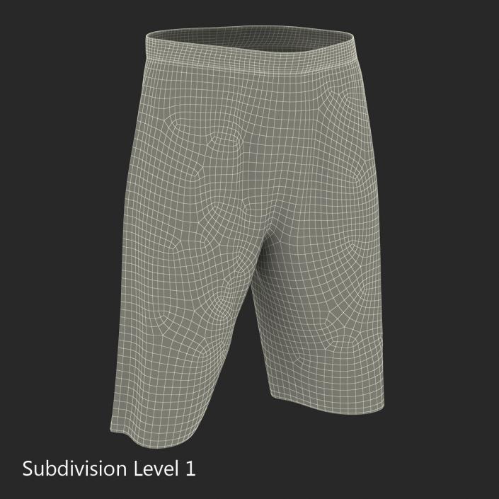 3D Basketball Shorts White model