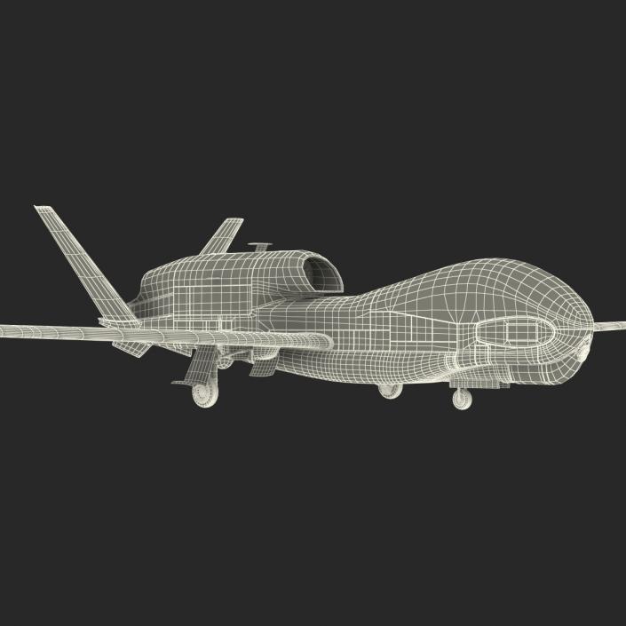 3D model RQ-4 Global Hawk UAV