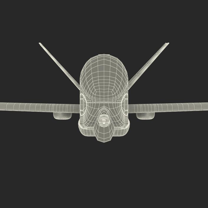 RQ-4 Global Hawk UAV Rigged 3D