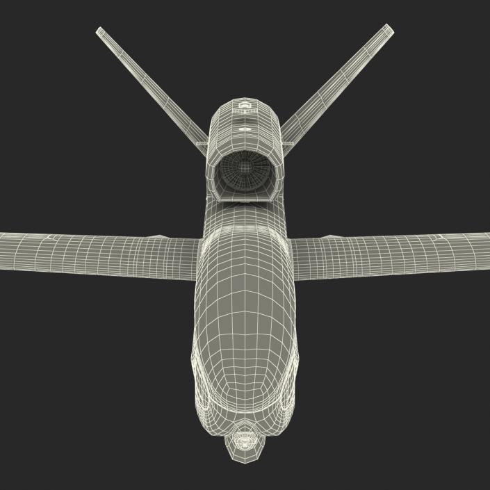 RQ-4 Global Hawk UAV Rigged 3D